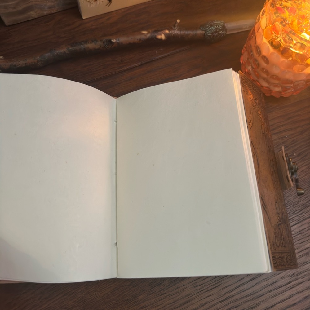 Leather bound Crystal embossed journal - Picture 4 of 7